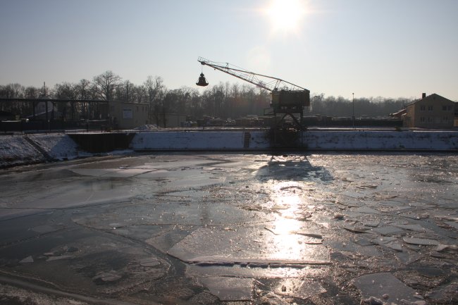 Winter 10.01.2009 011.jpg